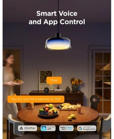 Govee - LED RGBICWW stlmiteľný závesný luster na lane LED/21W/230V Matter Wi-Fi