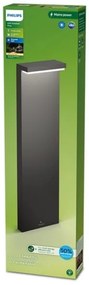 Philips - LED Vonkajšia lampa BUSTAN LED/3,8W/230V 77 cm IP44