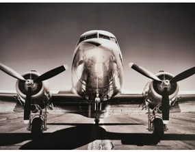 Obraz tlačený na plátne 60x80 PRC1101