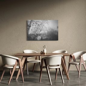 Obraz - Lúka po daždi (90x60 cm)