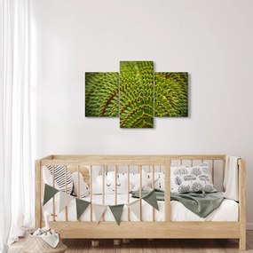 Obraz - Papraď (90x60 cm)