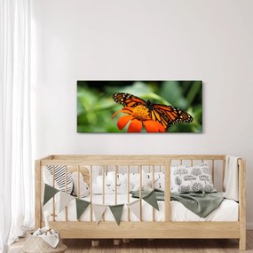 Obraz motýľa na kvetine (120x50 cm)
