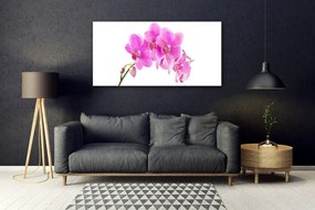 Obraz plexi Vstavač kvet orchidea 120x60 cm