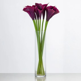 Luxusná kala ELISA purple beauty. Cena je uvedená za 1 kus.