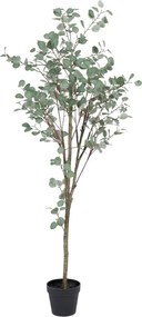 Umelý eukalyptus (výška 180 cm) Eucalyptus – Ixia