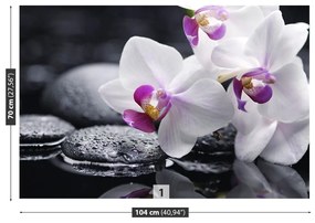 Fototapeta Vliesová Orchidea 208x146 cm