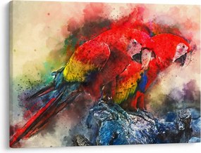 Obraz červených papagájov ara (70x50 cm)