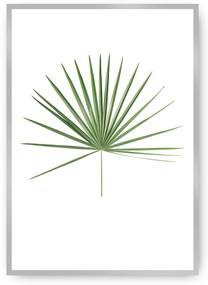 Plagát Tropical Leaf Green