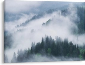 Obraz - Stromy v hmle (70x50 cm)
