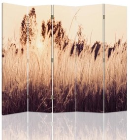 Gario Paraván Vysoké trávy v sépiovej farbe Rozmery: 180 x 170 cm, Prevedenie: Klasický paraván