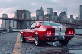 Obraz Mustang s panorámou New Yorku