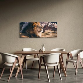 Obraz ležiaceho leva (120x50 cm)
