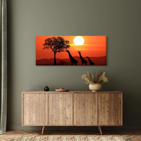 Obraz žirafy pri západe slnka (120x50 cm)
