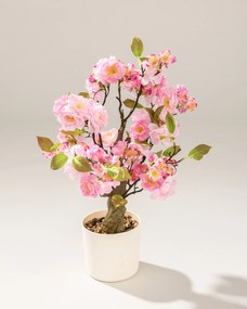 Kvitnúca Sakura Pink v kvetináči 50 cm