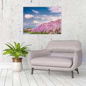 Sklenený obraz - Japonská jarná krajina (70x50 cm)