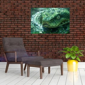 Obraz - Portrét hada (90x60 cm)