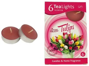 Sviečka čajová TULIPS 6ks MSC-TL1013