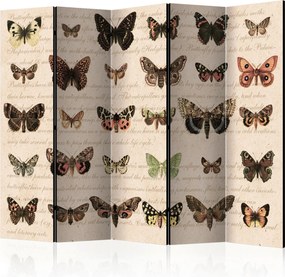 XXXLutz PARAVÁN, 225/172/3 cm artgeist - Paravány - 004875070901