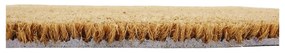 Rohožka z kokosového vlákna 40x60 cm Včela – Artsy Doormats