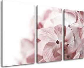 Obraz na stenu 3 dielny KVETY XOBKV114E30 - 90x60 cm
