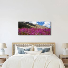 Obraz scenérie horské lúky (120x50 cm)
