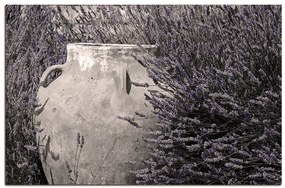Obraz na plátne - Amfora medzi kríkmi levandule 169FA (60x40 cm)