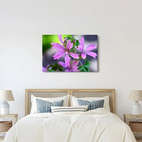 Detailný obraz kvetiny (90x60 cm)