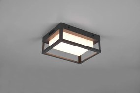 LED nástenné vonkajšie svietidlo (výška 24 cm) Witham - Trio
