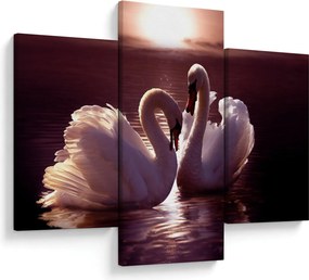 Obraz - Labute na jazere (90x60 cm)