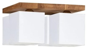 Spot-Light 2284474 - Stropné svietidlo INGER 4xE27/25W/230V