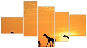 Moderný obraz - žirafy