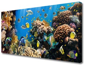 Obraz na plátne Koralový útes príroda 125x50 cm