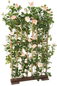 Zástena ruža 160cm x 60cm