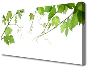 Obraz Canvas Vetvy listy príroda kvety 100x50 cm