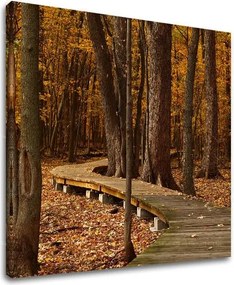 Obraz na stenu STROMY