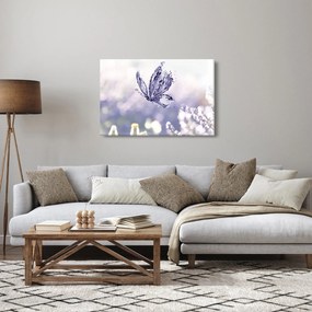 Obraz - Motýľ a levanduľa (90x60 cm)