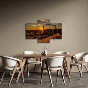 Obraz - Koniec dňa v arizonskej púšti (90x60 cm)
