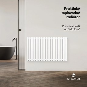Blumfeldt Delgado radiátor | Moderný dizajn | 63 x 100 cm | 891 W | Stredové pripojenie