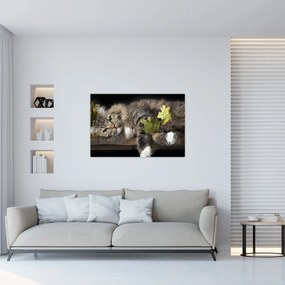 Obraz - Ležiaca mačka (90x60 cm)