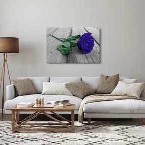 Obraz - Modrá ruža so zelenou stonkou (90x60 cm)