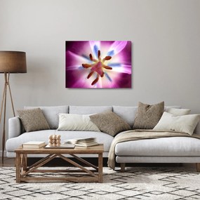 Sklenený obraz - Kvet tulipánu v detailu (70x50 cm)