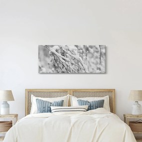 Obraz - Zasnežené vetvy (120x50 cm)