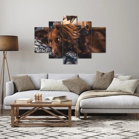 Obraz ležiacich psov (150x105 cm)