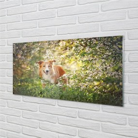 Sklenený obraz Psie lesné kvety 120x60 cm
