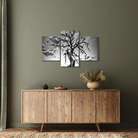 Obraz - Čiernobiely strom (90x60 cm)