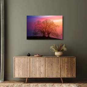 Obraz stromov v hmle (90x60 cm)