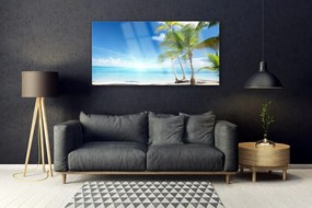 Obraz na akrylátovom skle Palma strom more krajina 120x60 cm