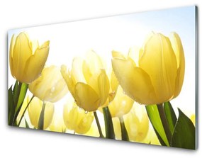 Sklenený obklad Do kuchyne Tulipány kvety lúče 125x50 cm