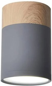 Candellux Nástenné svietidlo Tuba pre žiarovku GU10 2284262