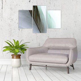 Obraz - Perie, makro (90x60 cm)